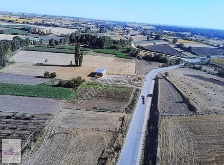 Real Estate Çatalca'dan İmara 30 Metre Asfalt Cephe Tarla