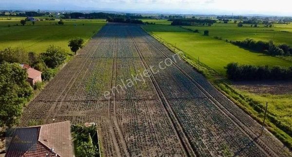 Yıldırım Emlak'tan Yeşilyazı Mahallesi Satılık Tarla (44,392 M²)