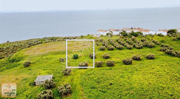 Emlakyap'tan Satılık Tekirdağ Şarköy'de 260 M² Villa Arsası