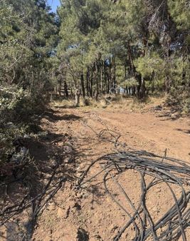 Çanakkale Merkez Köyü Dümrek Satılık Tarla