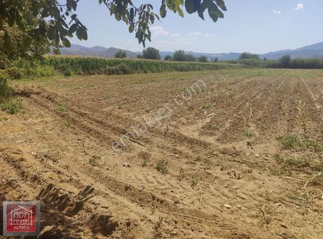 Merkezde 6200m2 Tarla Çiftlik Yapımına Uygun