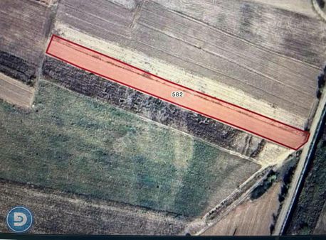 Dost Emlaktan M.kemalpaşa Tepecik'te Satılık 4000m2 Tek Tapu