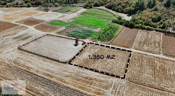 Edirne-keşan-mecidiye 1.350 M2 Müstakil Tapu Satılık Tarla