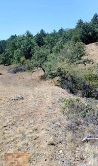 5k Emlak Tan Mihalıççık İlçesine Camikebir Mah. Satılık Arazi.