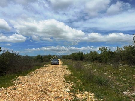 Çan Ahlatlıburun Resmi Yolu Olan 7.500m2 Yatırımlık Satılık Arsa