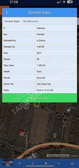 Tapu Çarşı'dan Aşağıçalıca 1.559 M2 Tarla(fındıklık) Kupon