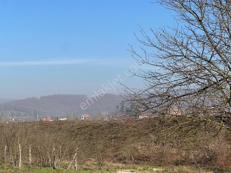 Wisrem'den Düzce Çevreyolu'na Yakın Muncurlu'da Arsa