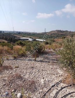 Manavgat Evrenseki De Satılık Tarla