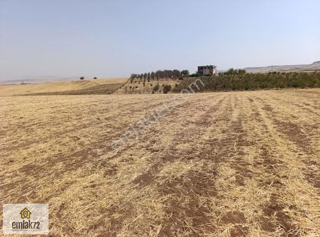 Emlak 72 Den Doğankavak'ta (hathatke) Satılık 45 Dönüm Tarla