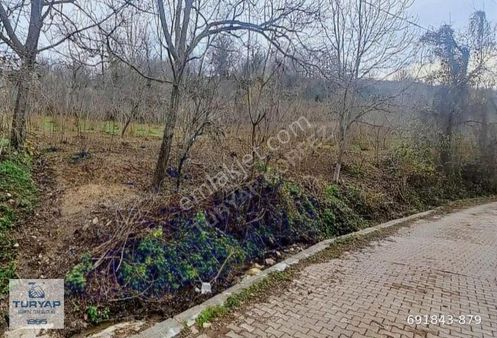 Kandıra Nasuhlar Köyünde Satılık Arsa