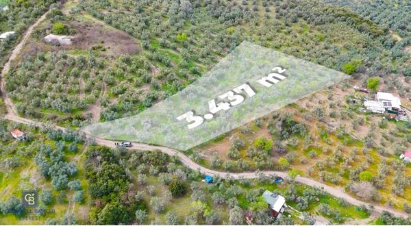 Mudanya Kumyaka'da Yola Cephe Arazi (araç Takaslı)