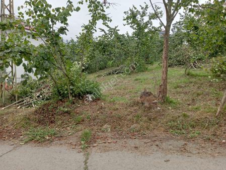 Trabzon Gözalan Da Meğilsiz Acil Satılık Arsa