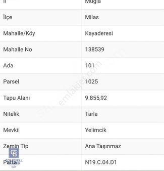 Milas Kayaderesinde İmar Sınırında Fırsat Tarla