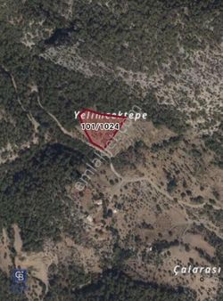 Milas Kayaderesinde Fırsat Fiyata Emsalsiz 8 Dönüm Tarla