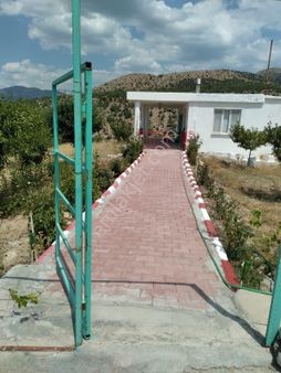 Niğde Ulukışla Tekneçukur Da 821 Arsa İçinde Acil Satılık Yayla Evi