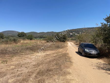Doğadan Milas Mumcular Kuzyaka İmarlı Resm Yollu Köy Civarı Arsa