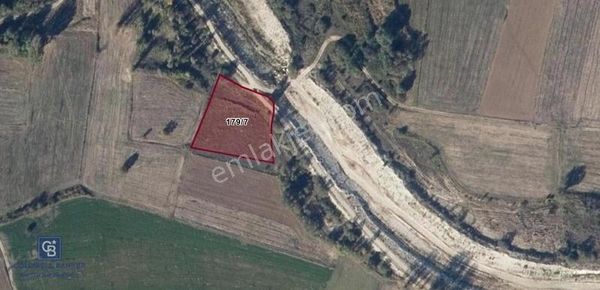 Bilecik Yenipazar Çöte Mahallesi Yol Kenarı Satılık Tarla