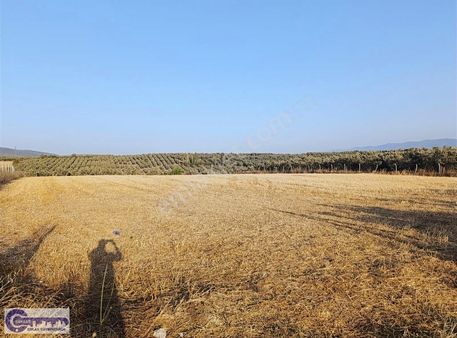 Çoklar 'dan Cihanköy'de Depo Ruhsatı Alınabilen 6040 M2