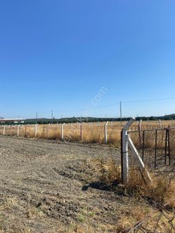 Fiber Emlak Akhisar Mecidiye Mah. Satılık 800 Mt Köy İçi Arsa