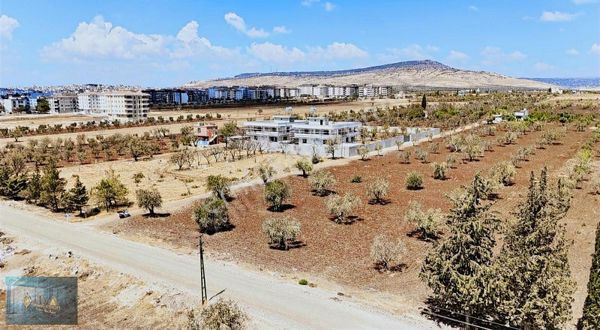 Liva Gayrimenkul'den Beşevler'de Ticari A-5 İmarlı Satılık Arazi