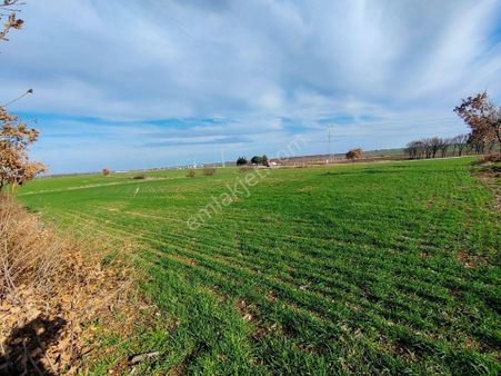 Kırklareli Vize Çüvenli Köyü Satılık 5.000 Mt² Tek Tapu Tarla
