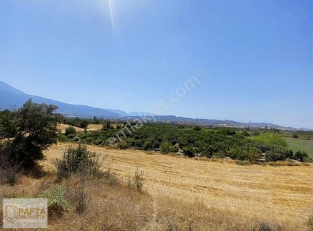 Pınarkent De Satılık Meyve Bahçesi