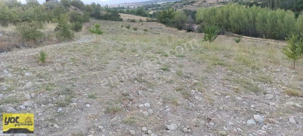 Yat Gayrimenkulden Satılık Arsa