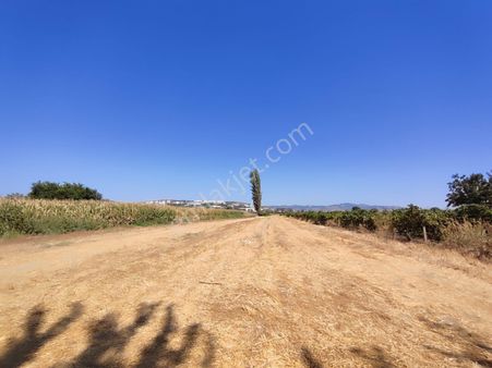 Satılık Tarla Manisa Yunusemre Yağcılar