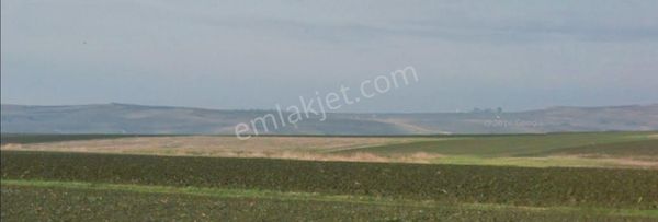 Tekirdağ Çorlu Şahpaz Satılık Tarla