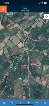 İzmir Ödemiş Birgi Mh Satılık Zeytinlik Arsa