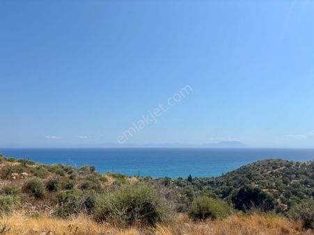 Ören Türkevlerinde Deniz Manzaralı 4.915 M² Satılık Zeytinlik