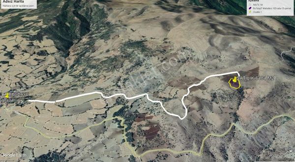 Tokat Sulusaray Buğdaylıda Acil 6484 M2 Tek Tapu Fırsat