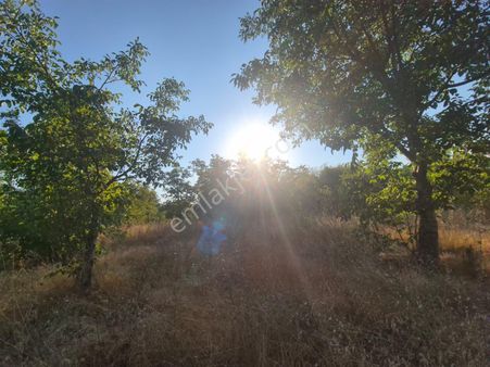 Roma' Dan Kurşunlu' Da Satılık Tarla