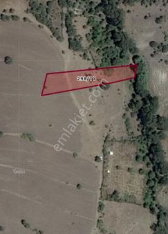 Fırsat__kızılcahamam-çeltikçi__satılık__tek Tapu__1.960m2 Tarla