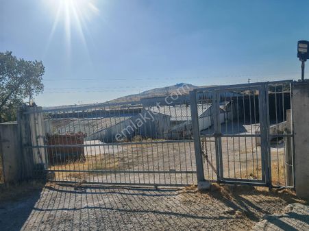 6000m2 Kapalı Alanlı 4000m2 Yarı Kapalı Alanlı 800 Büyükbaş 1500 Küçükbaş Besi Çiftliği