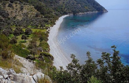 Akbaşlardan Çökertme Koyunda Müstakil İmarlı Arazi