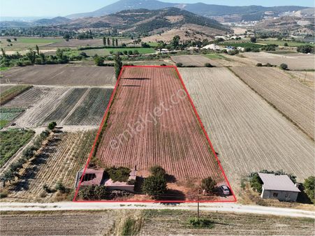 Milas Kızılcayıkık Mahallesi – 10.067 M2 Yatırımlık Tarla & Müstakil Ev