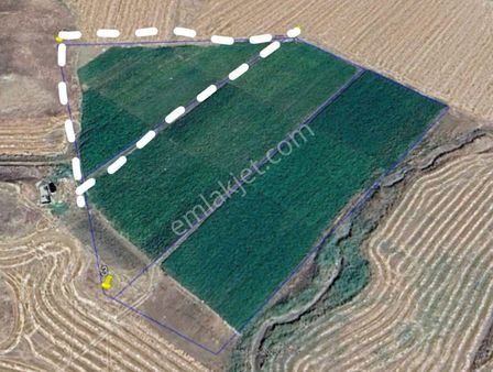 Emlak 72'den Beşiride Satılık Sulu Tarla