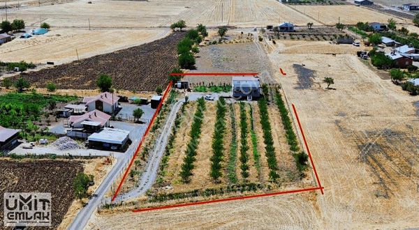 Ümit Emlak'tan Mollakendi Güntaşı| 5.456m2 Eksiksiz Bahçe