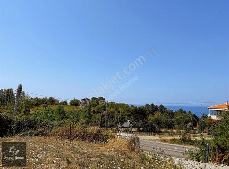 Sinop Ayancık - Tarakçı'da Deniz Manzaralı 4+1 Satılık Villa