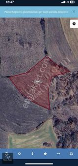 Sweet Home'dan Yatırımlık Kırklareli Kofçaz Da Tek Tapu Tarla