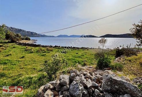 Denize 1 Parsel Su Kuyusu Hazır Denize 10 Mt 400 M2