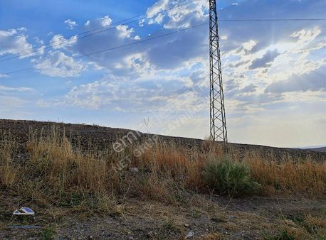 Net Group Yozgat Tayip Köyü Satılık Tarla Bahçe