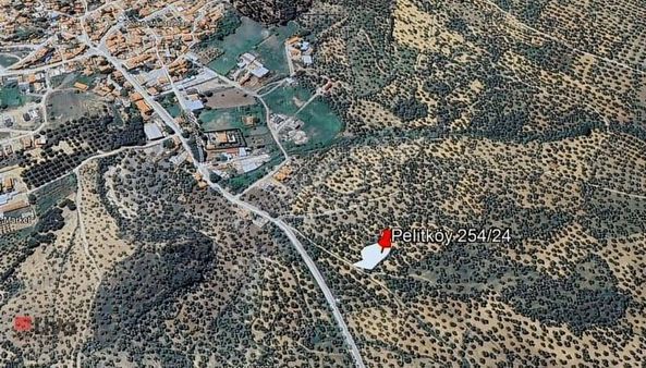 Rw Liva Dan Burhaniye Pelitköy De Satılık Zeytinlik