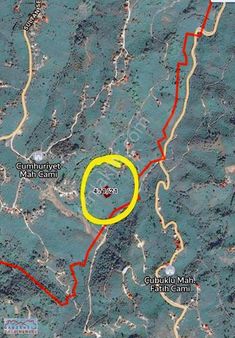 Satılık Fındık Bahçesi