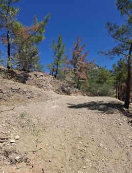 Startkey Pelit Datça Sındı'da Satılık Tarla