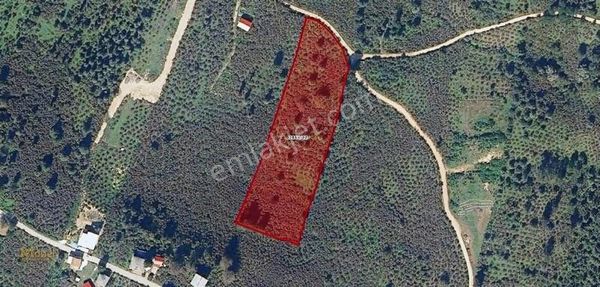 Mabel'den Bolaman Yenipazar'da Deniz Manzaralı 11 Dönüm Arazi