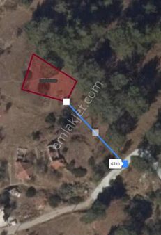 Ege Emlak Yatırımdan Söğüt'te Harika Konumda Satılık Tarla