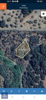 Yola 40 Mt Mesafede, 10 Zeytin Ağaçlı Bahçe