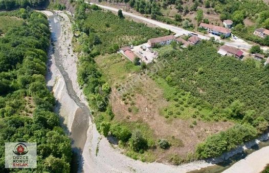 Düzce Merkez Yığılca Traşlar Da 7105 M2 Satılık Fırsat Arsa